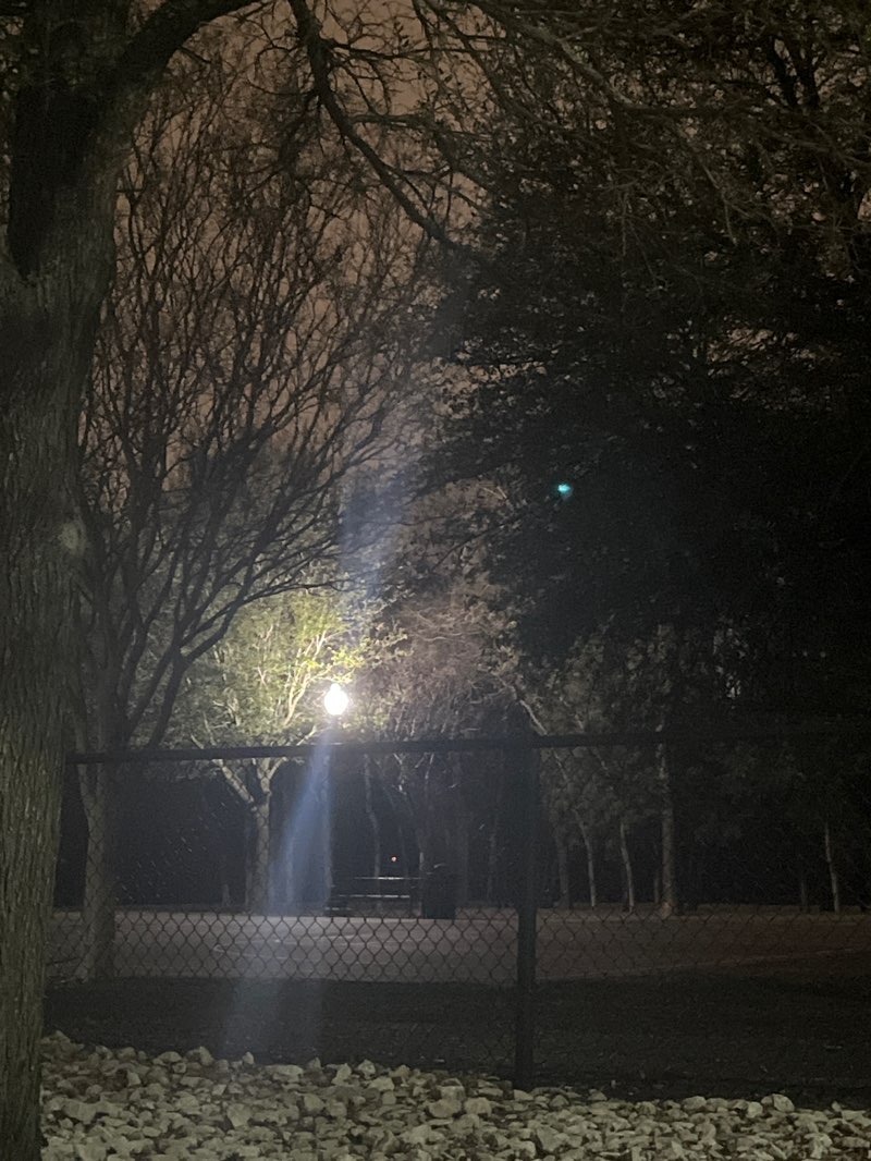 walking near me in Stephen's Green Park in spring