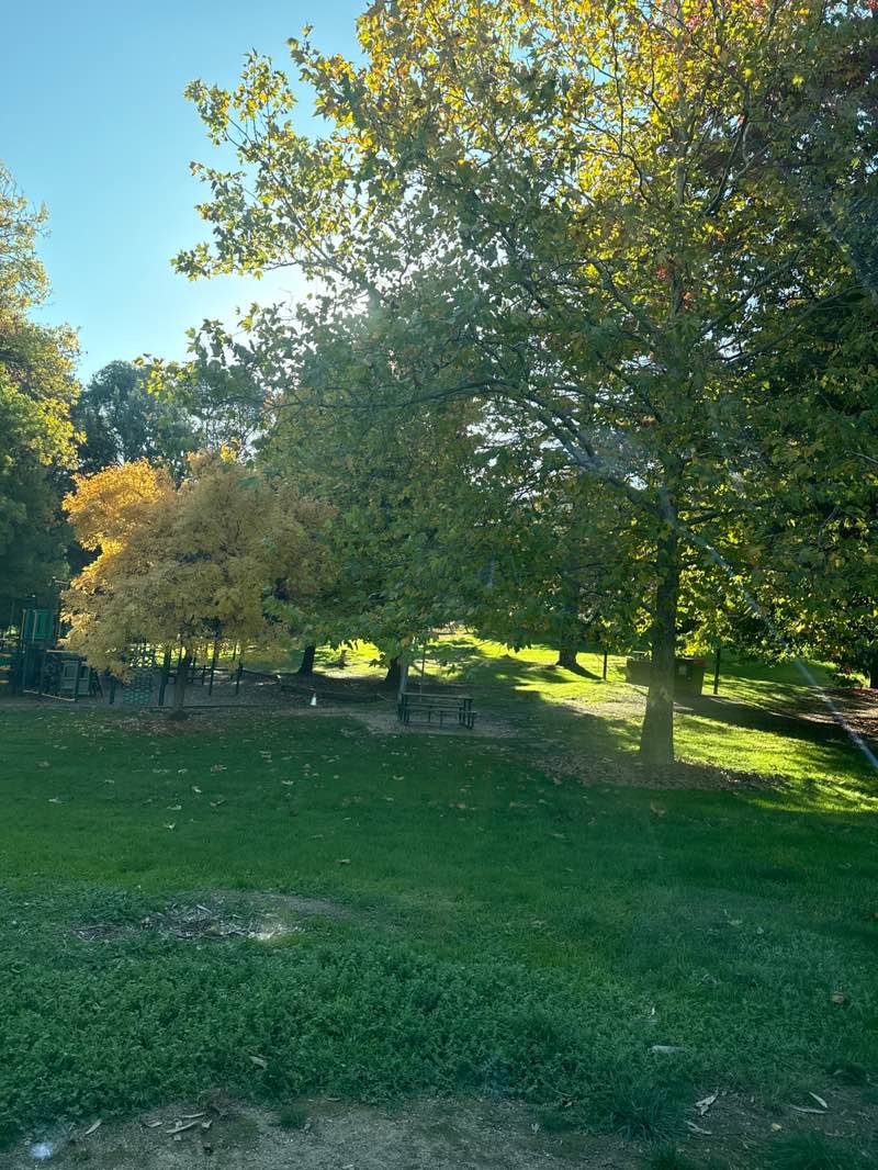 walking near me in Sir Isaac Isaasc Park in autumn