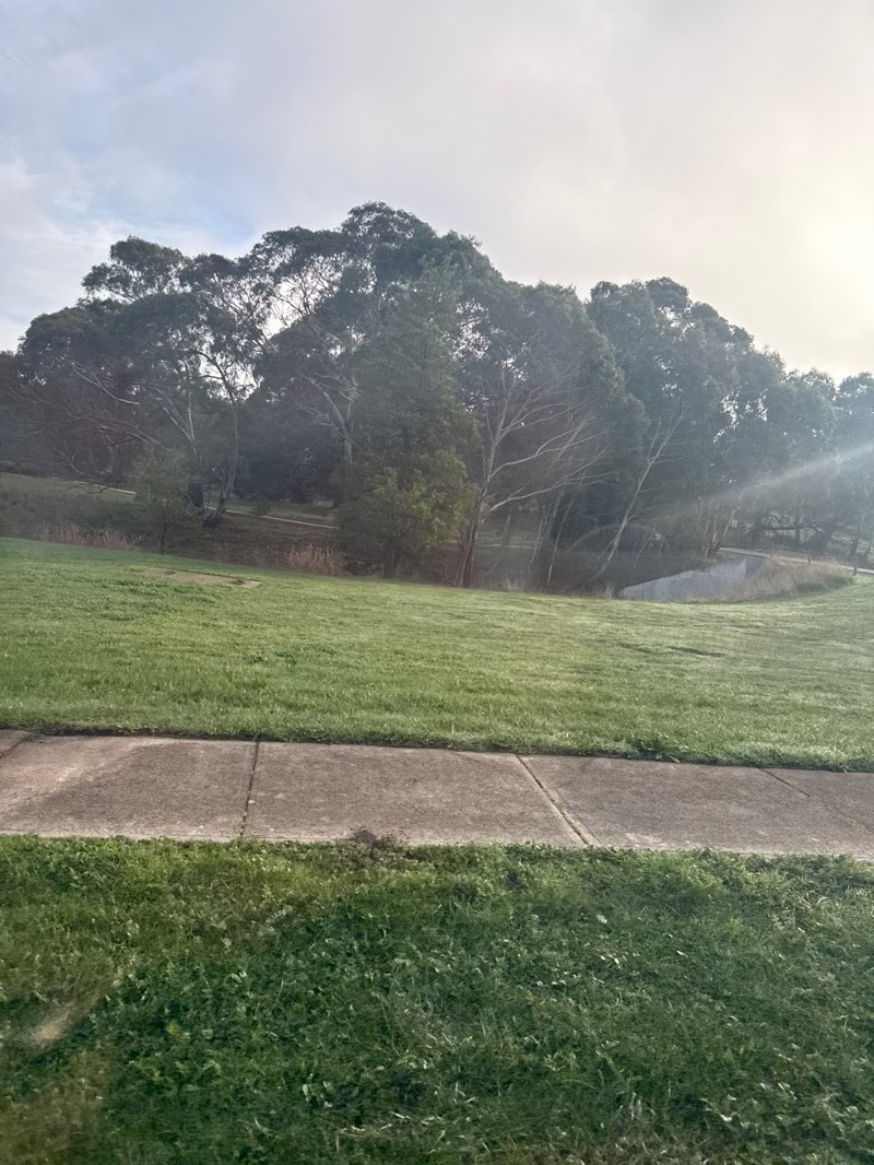 walking near me in Sam De Gabrielle Reserve in winter
