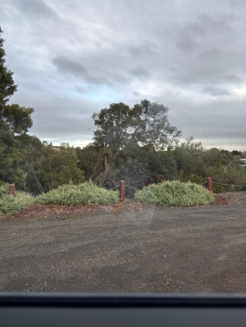 walking near me in Apex Park in winter
