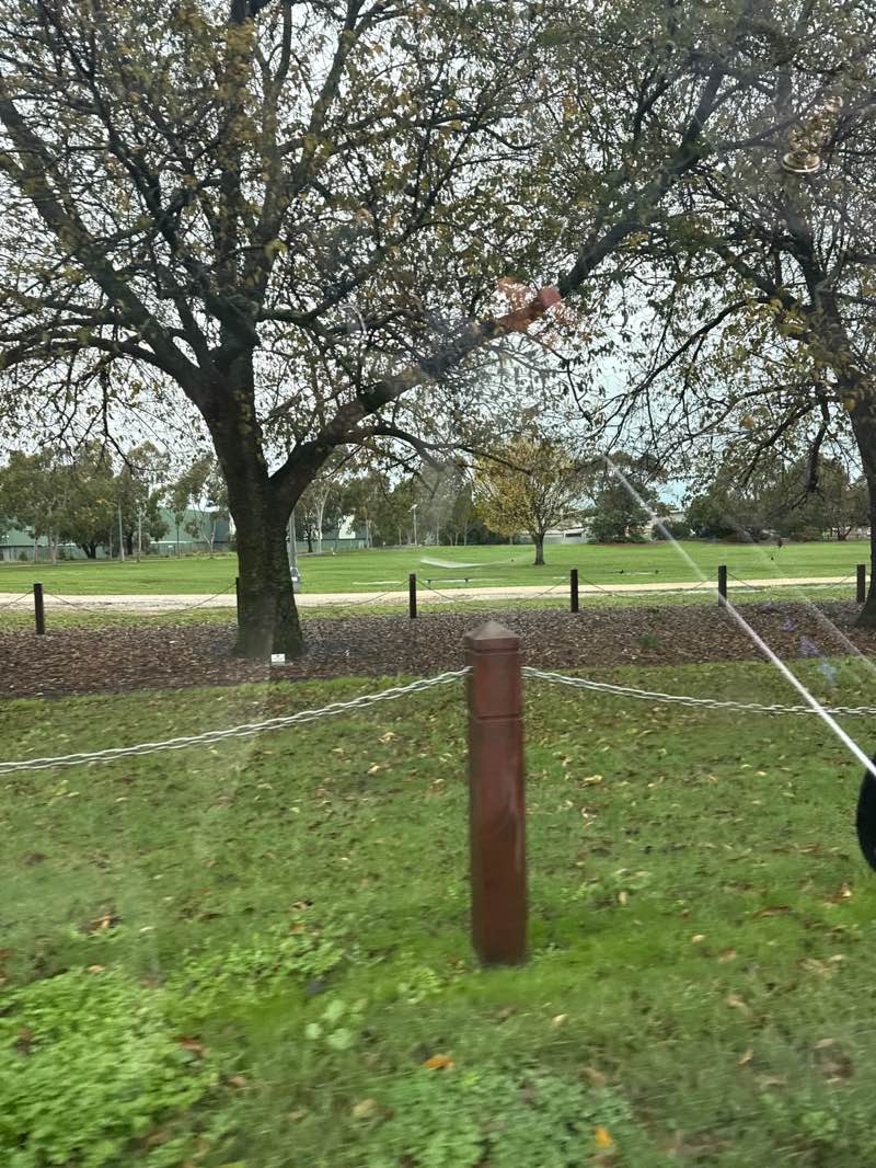 walking near me in Hadfield Park in winter
