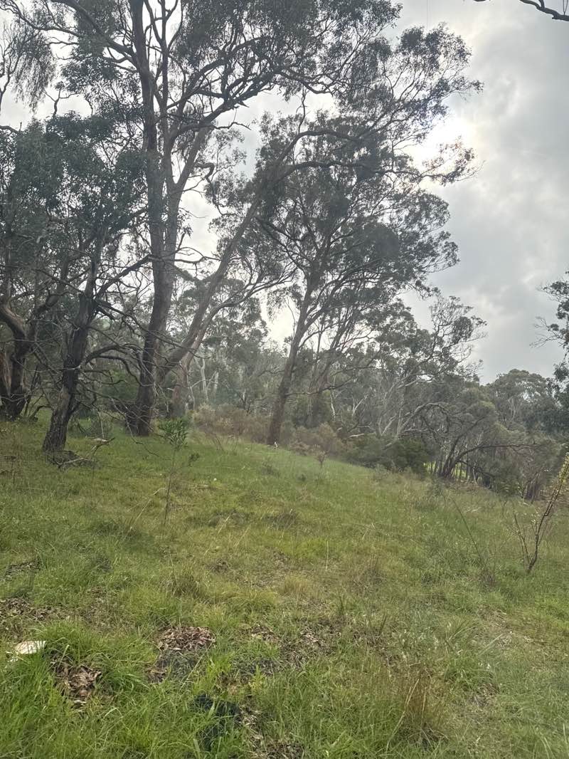 walking near me in Wallan Wallan Bushland Reserve in winter