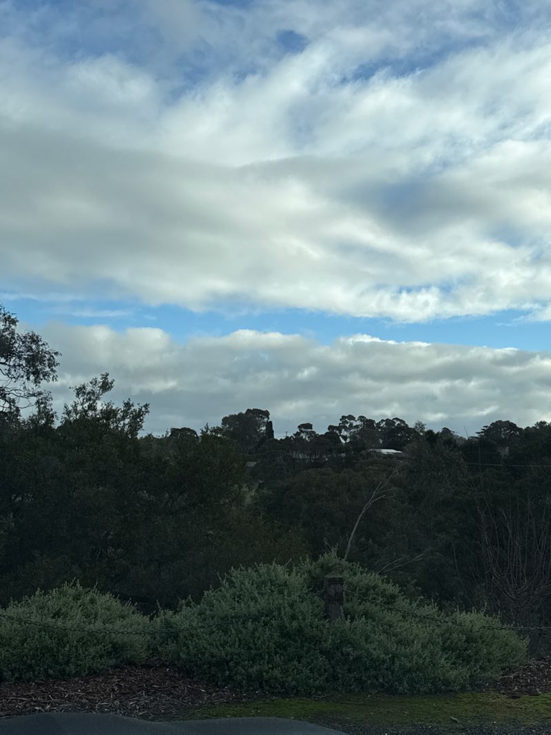 walking near me in Apex Park in winter