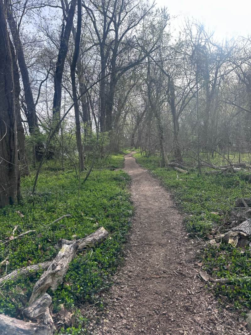 walking near me in Pony Pasture Park in spring