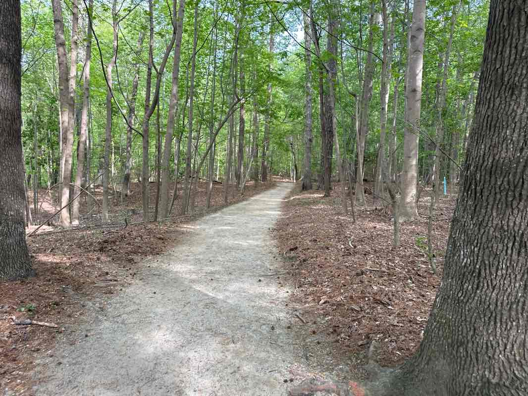 walking near me in Harvey Field Park in spring