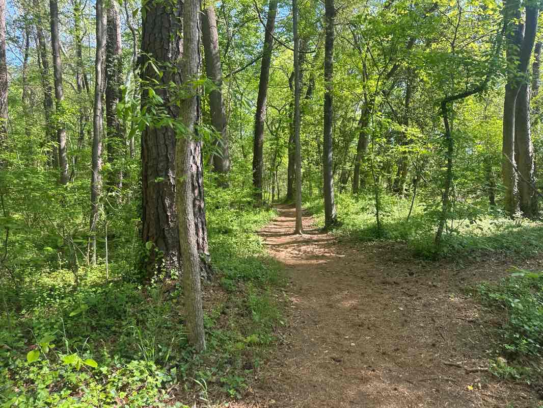 walking near me in Pony Pasture Park in spring