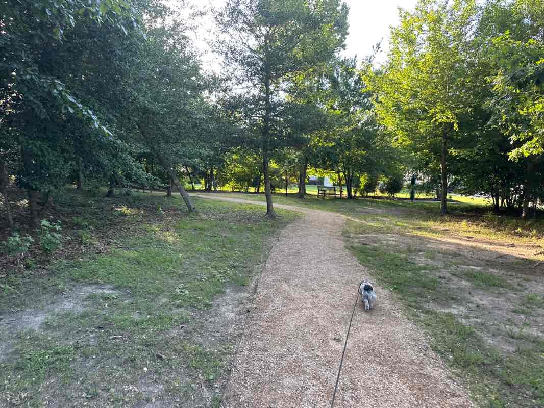 walking near me in Roper Homestead Park in summer