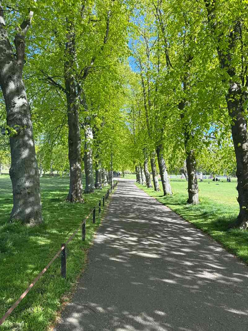 walking near me in Harrison Park West in spring