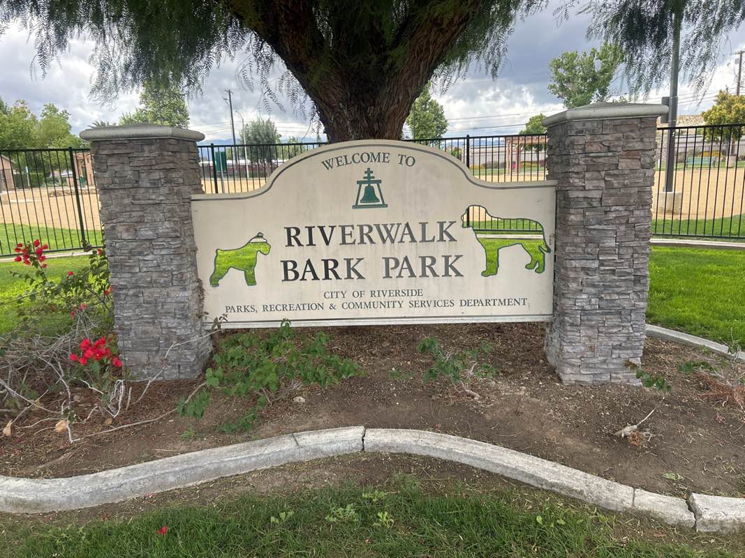 walking near me in Riverwalk Dog Park in spring