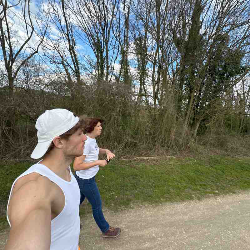 Vers le ciel ⛅️ The resilient post image