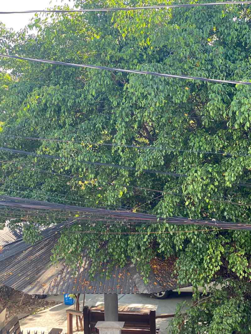 walking near me in Valenzuela City Sports Park in spring