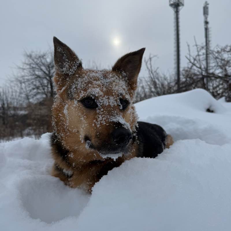 Шагаем вместе с Familia! РД6 Серова Екатерина post image