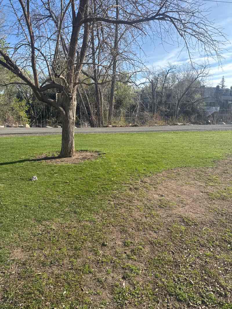 walking near me in Idlewild Park in spring