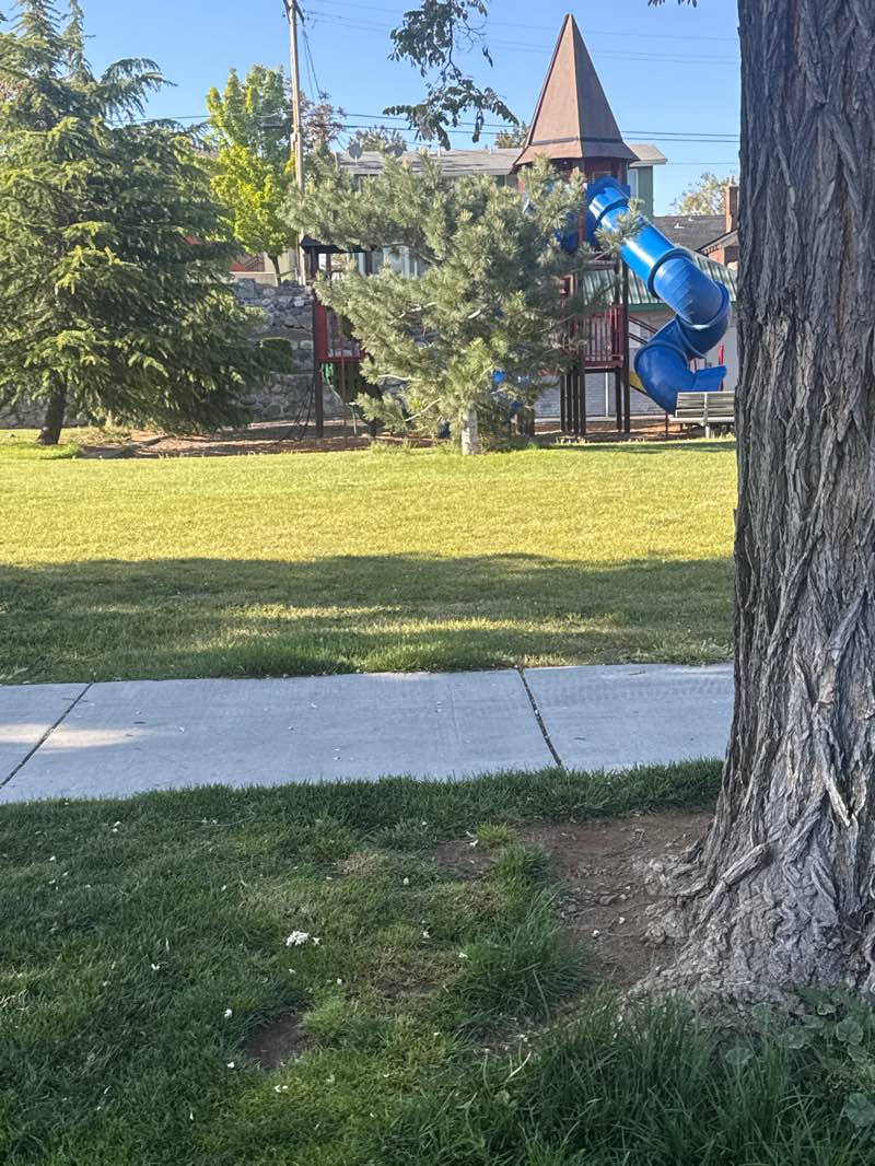 walking near me in Stewart Park in spring