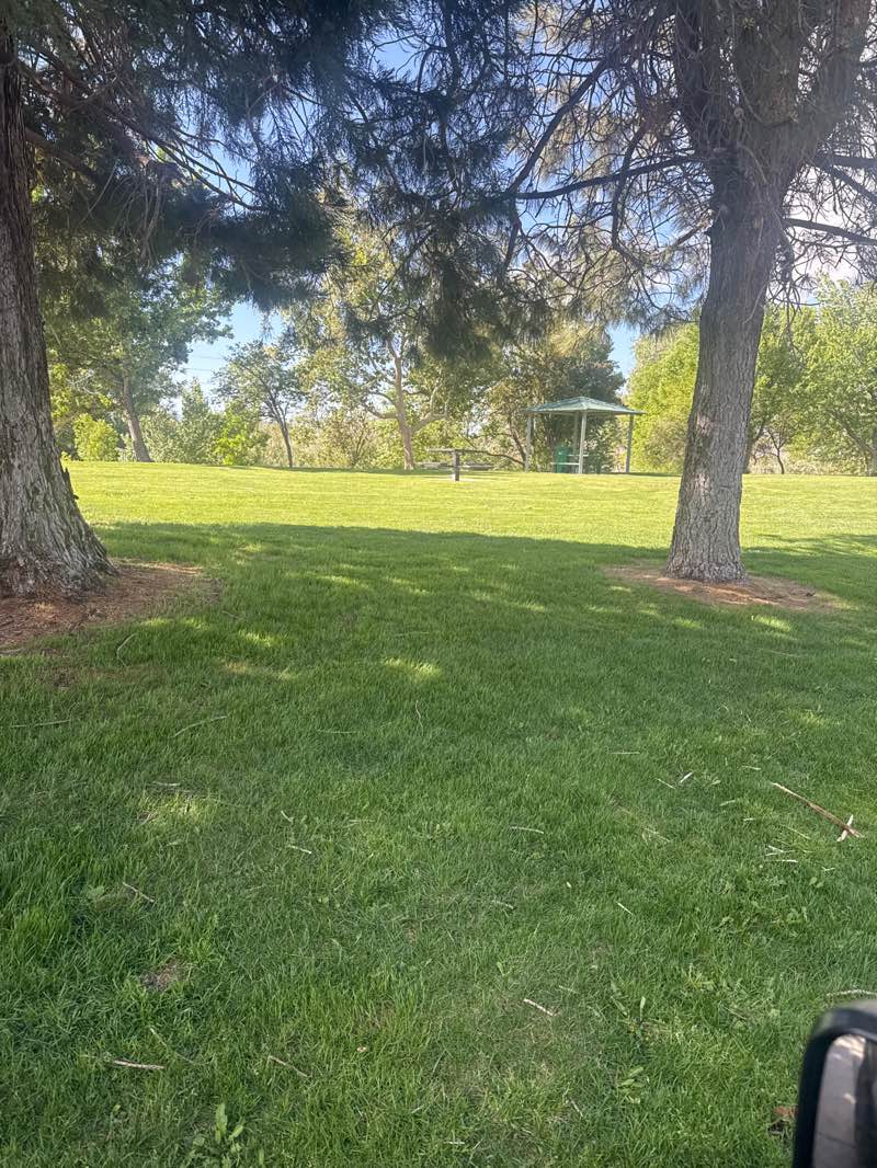 walking near me in Cottonwood Park in summer