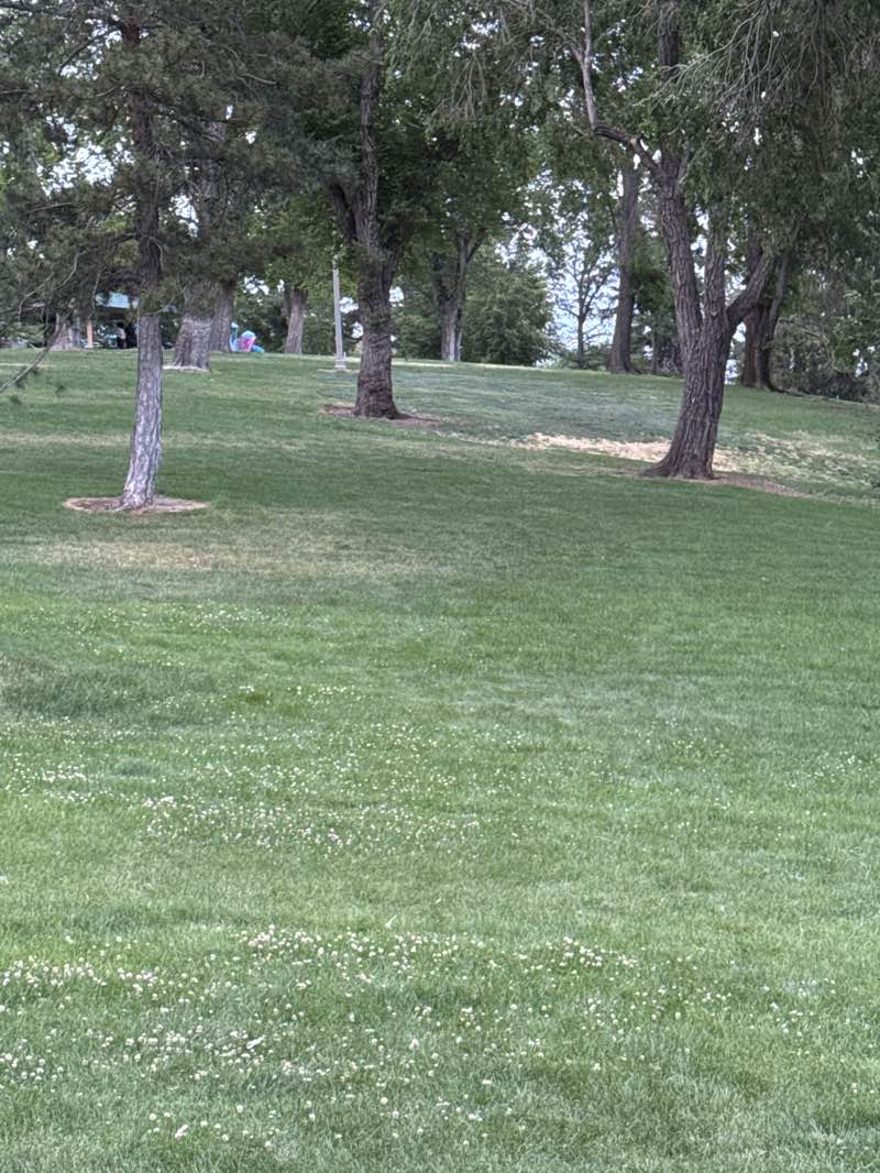 walking near me in Whitaker Park in summer