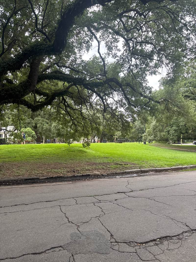 walking near me in Coliseum Square in summer
