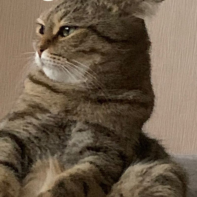 РД 6 Назимова Галина profile