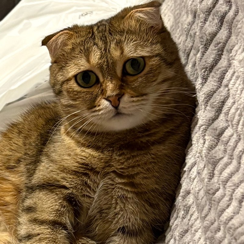 Галина profile