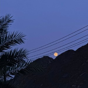 العامري 💪 🇴🇲 profile