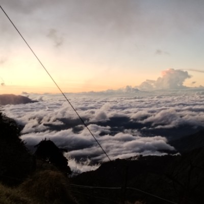 🇨🇦MONTREAL PACERS🇨🇦 Pablo Quesada  CR post image