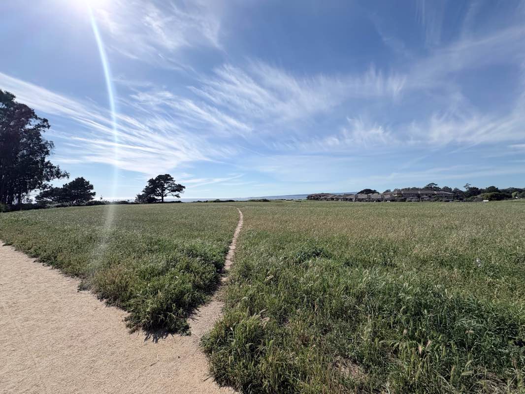 walking near me in Seascape Park in spring