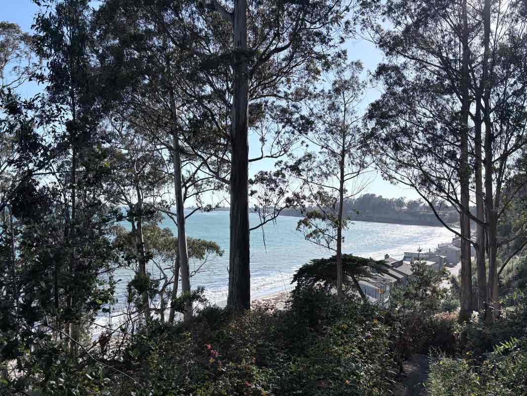 walking near me in New Brighton State Beach in summer