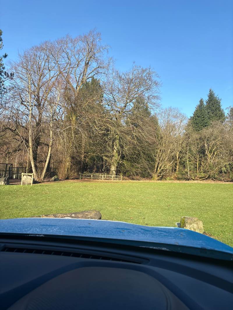 walking near me in Colzium Margaret Lennox Memorial Estate in winter