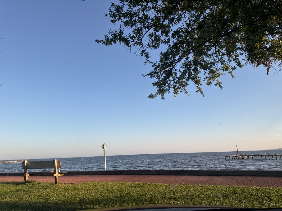 walking near me in Henry George Bluff Park in winter