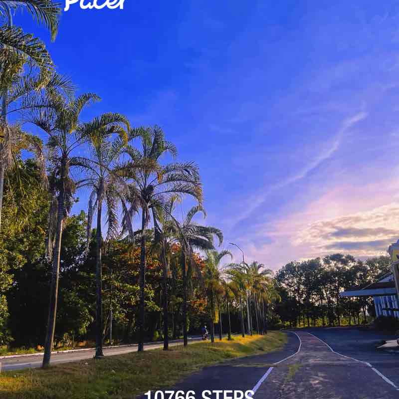 Mary Grace Sanchez post 1