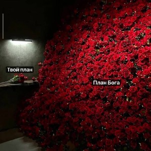 Верунчик profile