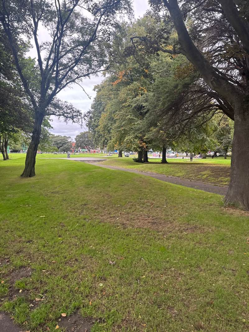 walking near me in Fairview Park in autumn