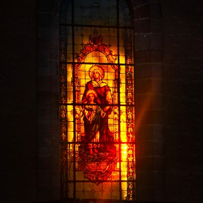 📸WALKS & PHOTOGRAPHY 📸 Trefle post image