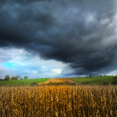 📸WALKS & PHOTOGRAPHY 📸 Trefle post image