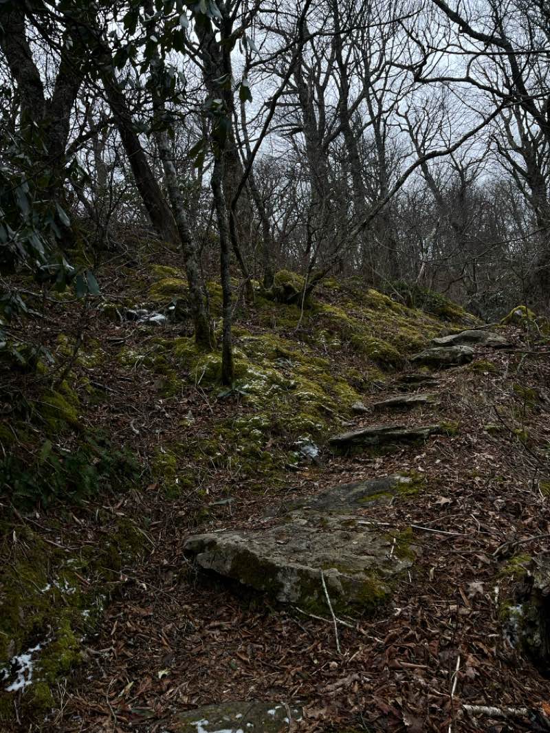 walking near me in Shining Rock Wilderness in spring