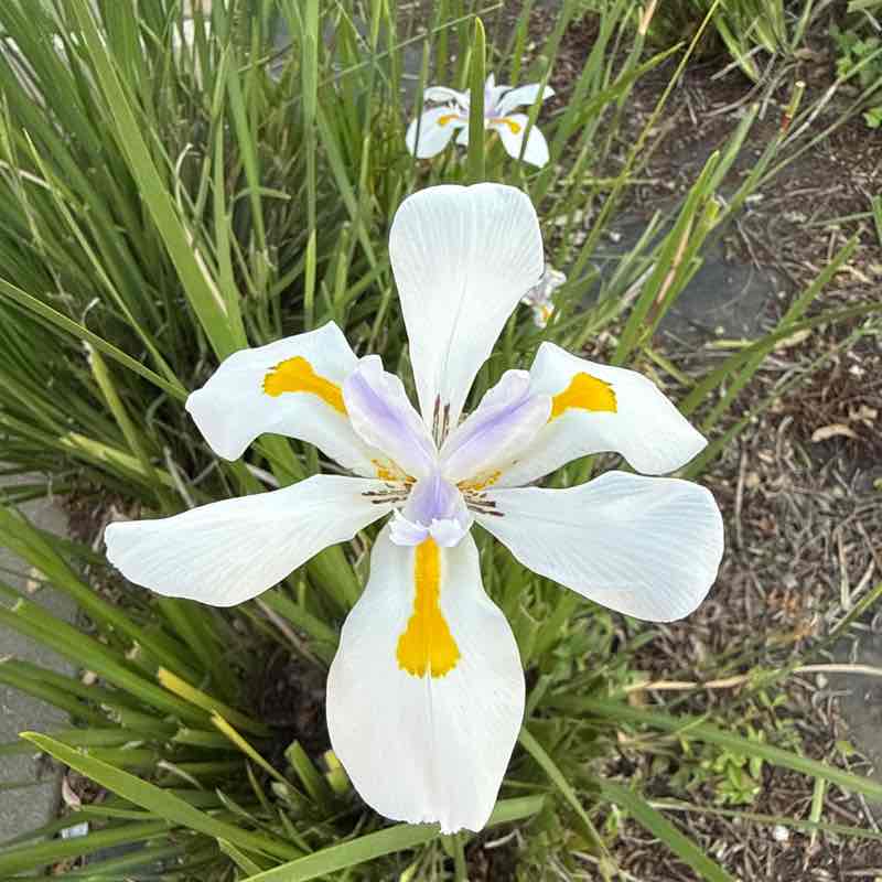 melssaty post 1