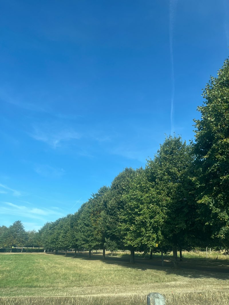 walking near me in Monread District Park in summer