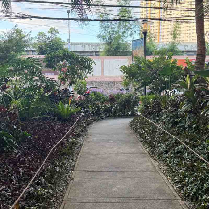 Jeanette Tanfelix post 2