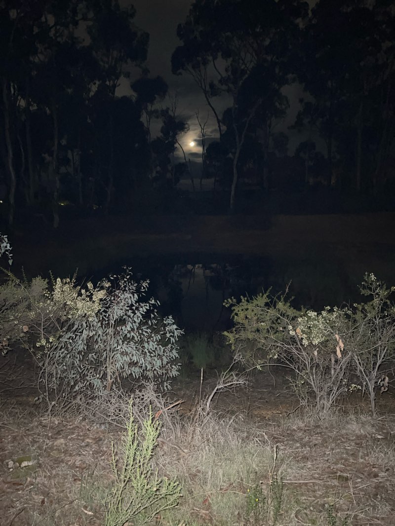 walking near me in Holly Street Natural Features Reserve in autumn