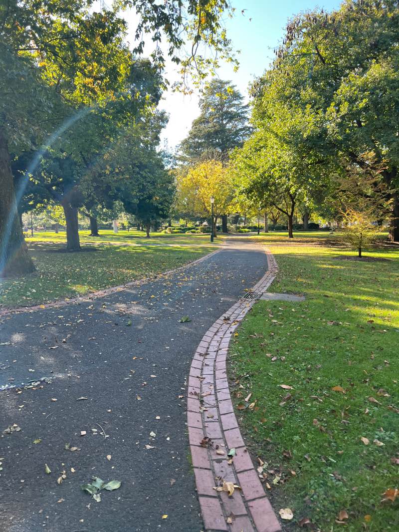 walking near me in Rosalind Park in autumn