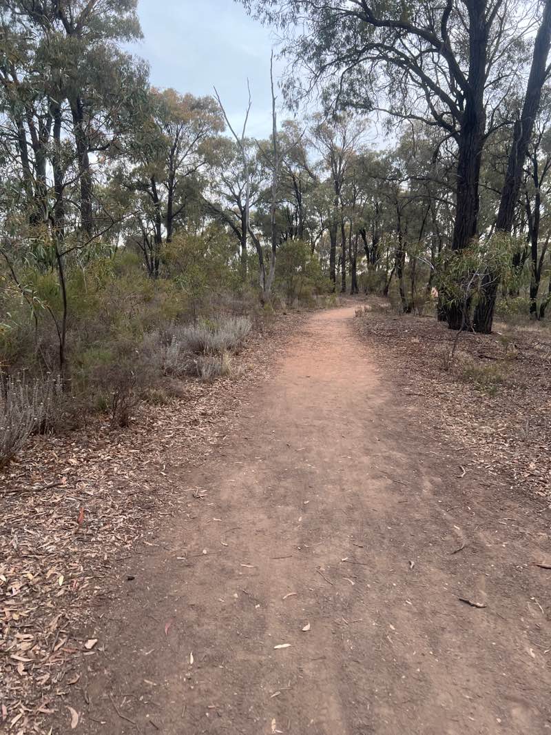 walking near me in Solomon Gully Nature Conservation Reserve in autumn