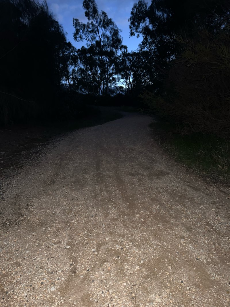 walking near me in Mickey Mouse Hill Bushland Reserve in autumn