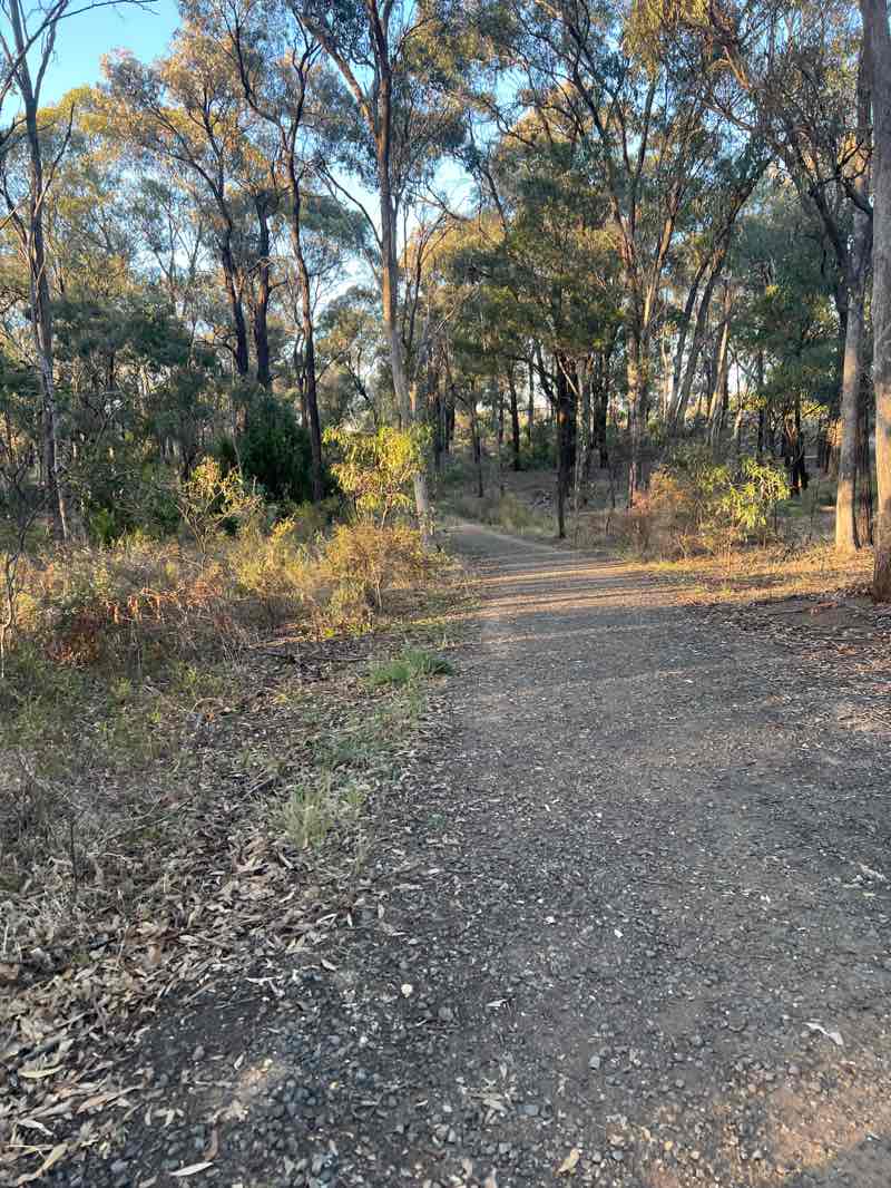 walking near me in Grassy Flat Reservoir Bushland Reserve in autumn