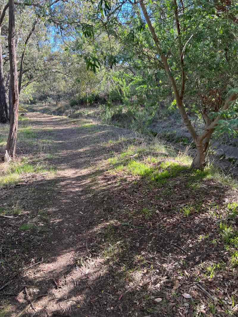walking near me in Sparrowhawk Gully Bushland Reserve in autumn