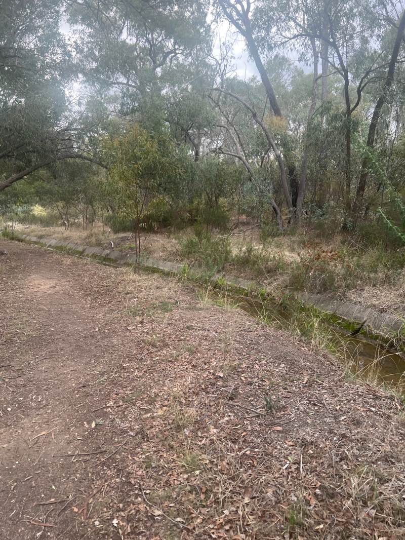 walking near me in Sparrowhawk Gully Bushland Reserve in autumn