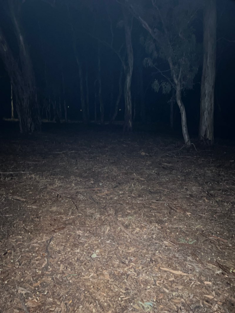 walking near me in Charcoal Gully Bushland Reserve in autumn