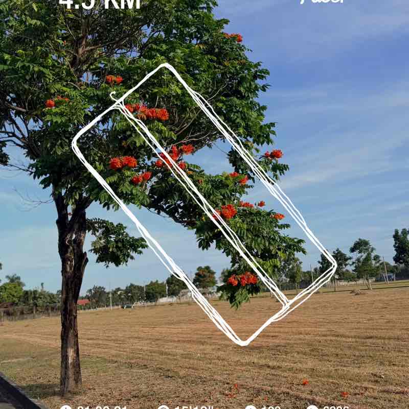 Maria Carmela Amaba post 1