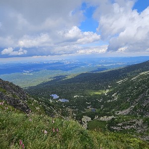 Ignacy Jersz profile