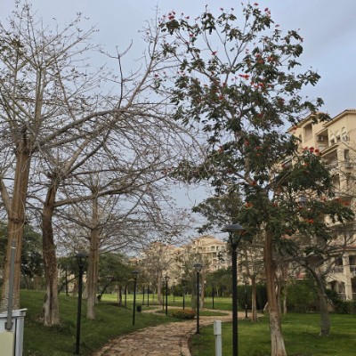 ClaynoFit Challenge Heshamxbt post image