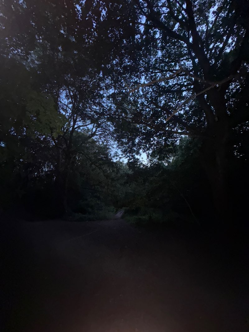 walking near me in Hampstead Heath in summer